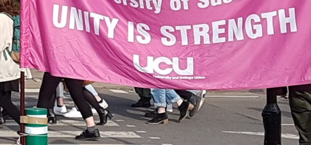 In Defence of the Public University: The USS Strike in Context